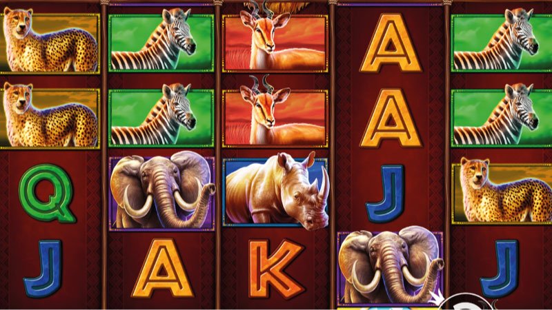 safari-king-slot-gameplay