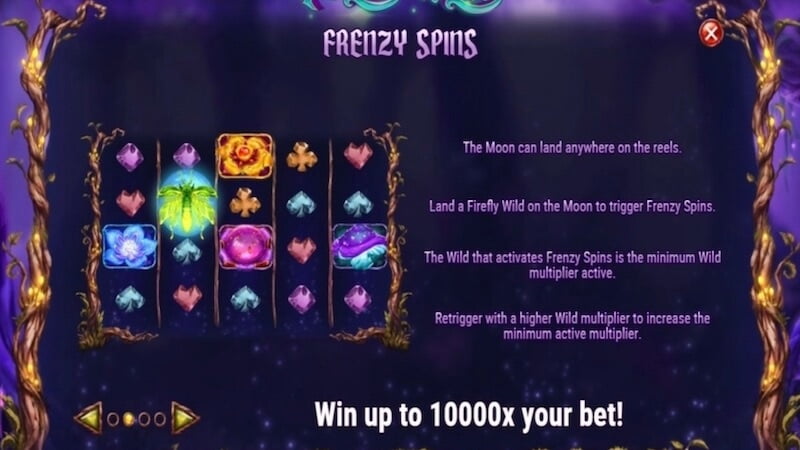 firefly frenzy slot rules