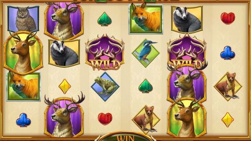 forest prince slot gameplay