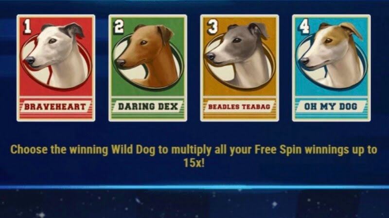 wildhound derby slot rules