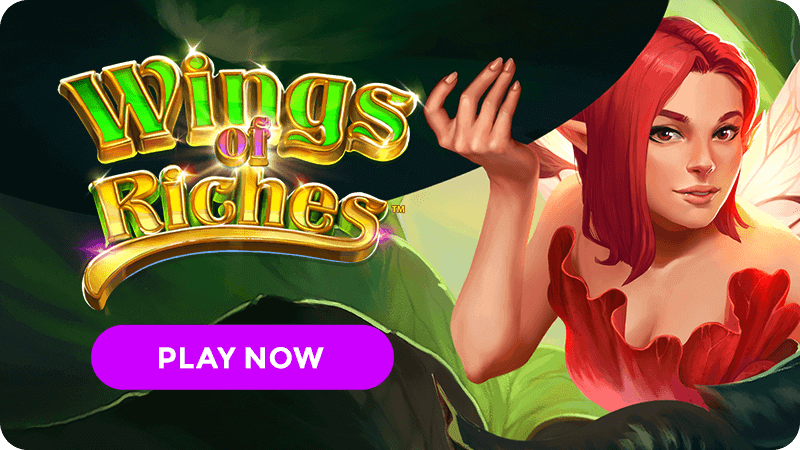 wings of riches slot signup
