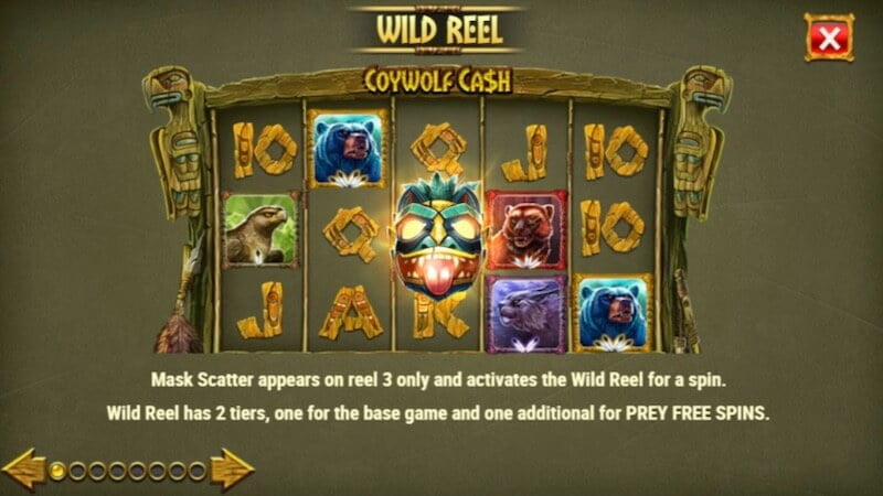 coywolf cash slot rules