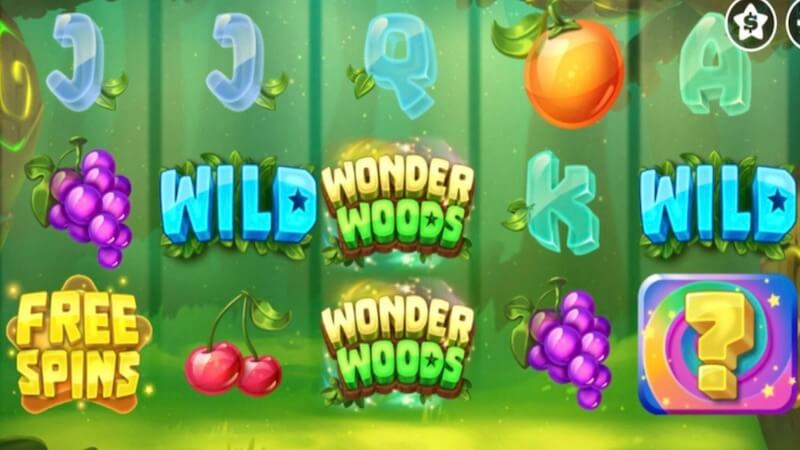 wonder woods slot gameplay