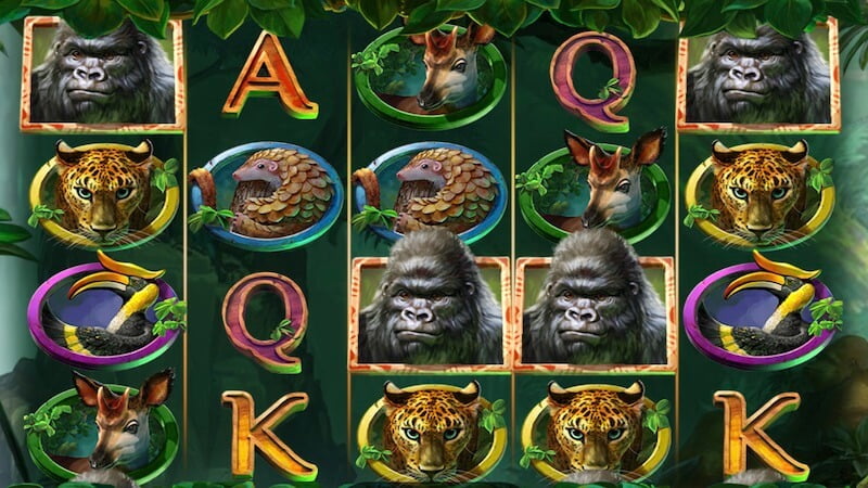 gorilla kingdom slot gameplay