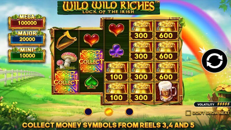 wild wild riches slot rules