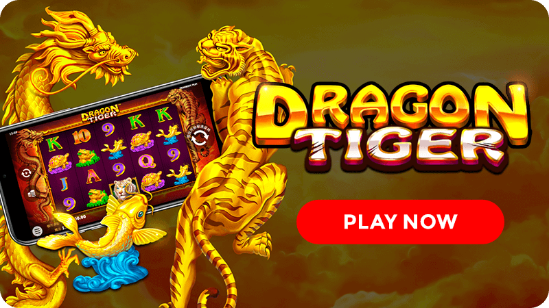 dragon tiger slot rules