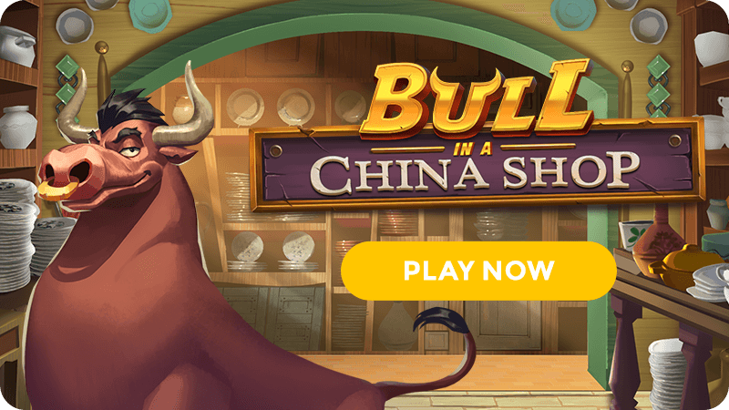 bull in a china shop signup