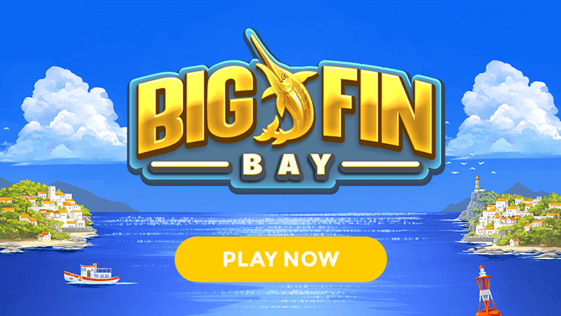 big fin bay signup