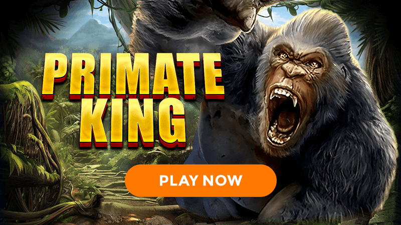 primate king slot signup