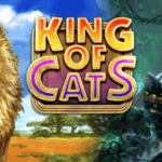 king of cats slot logo
