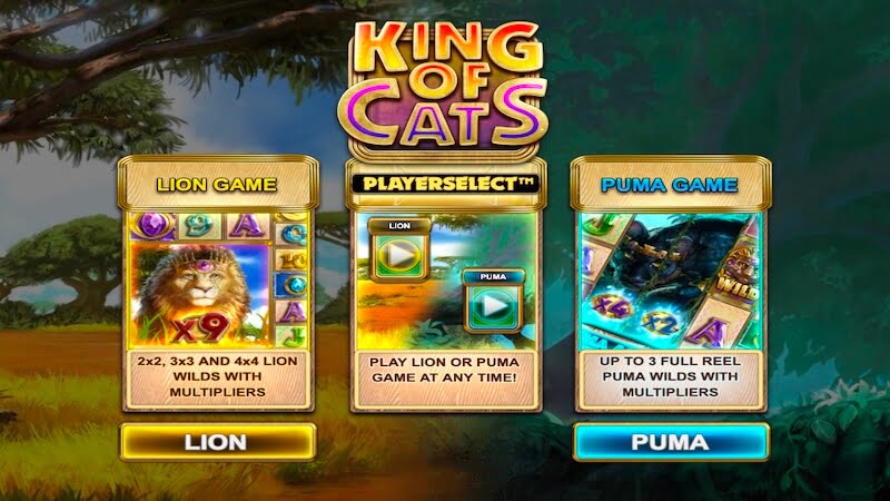 king of cats slot rules