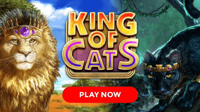 king of cats slot signup