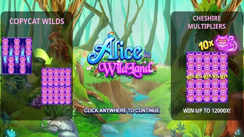 alice in wildland slot rules
