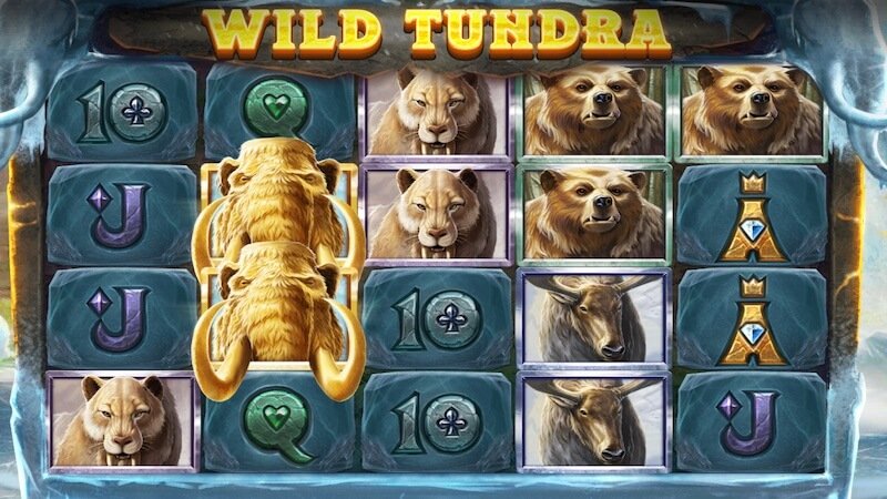 wild tundra slot gameplay