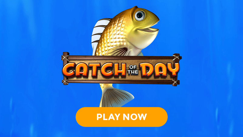 catch of the day slot signup