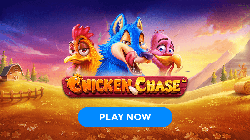 chicken chase slot signup