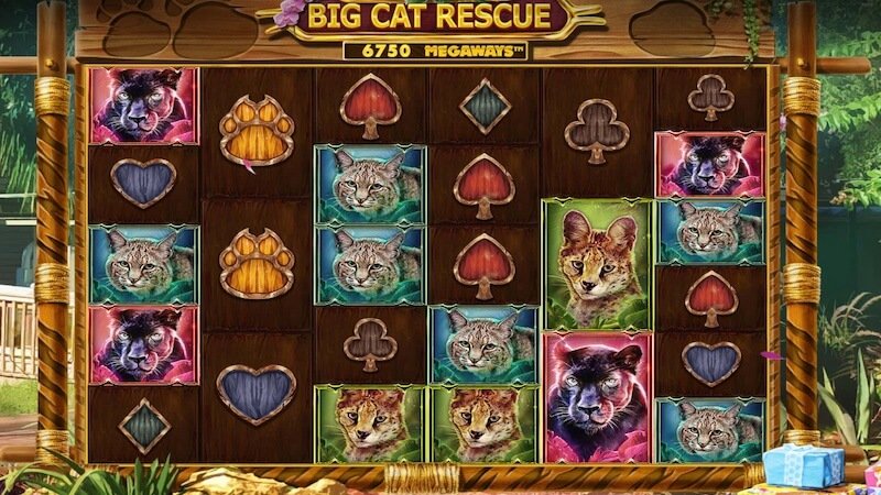 big cat rescue slot gameplay