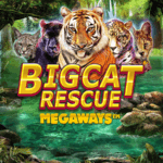 big cat rescue slot logo