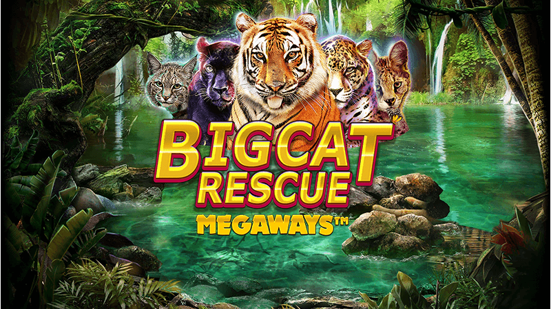 big cat rescue slot logo