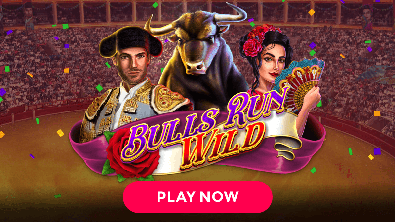 bulls run wild slot signup