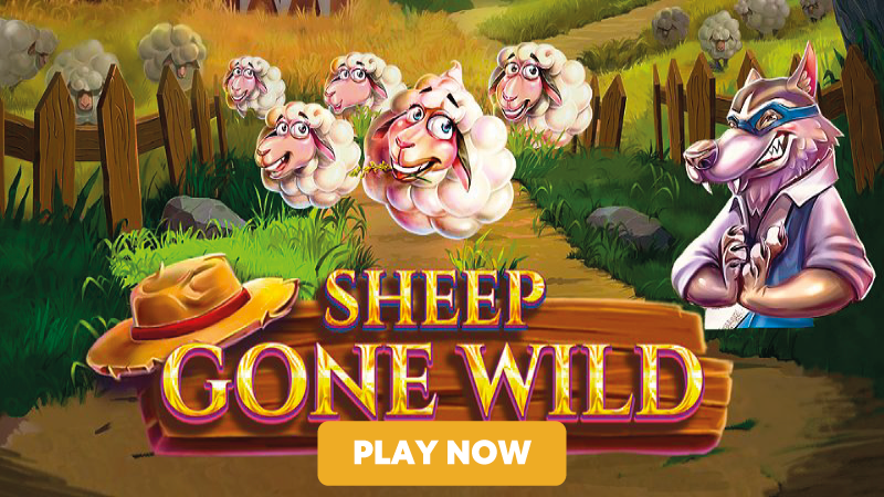 sheep-gone-wild-slot-signup