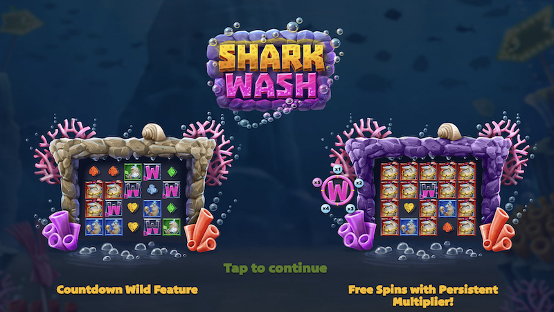 shark-wash-slot-rules