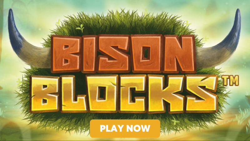 bison-blocks-slot-signup