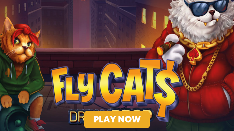 fly-cats-slot-signup