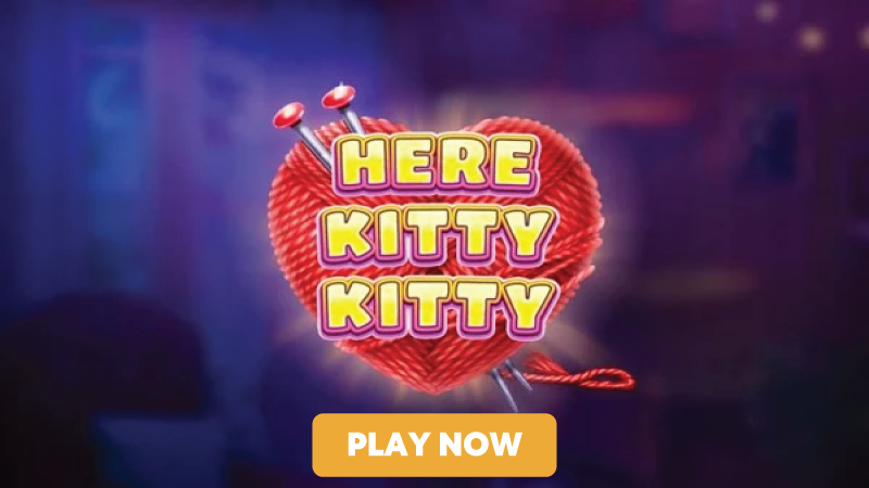 here-kitty-kitty-slot-signup