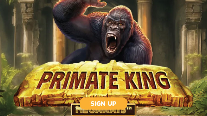 primate-king-megaways-slot-signup