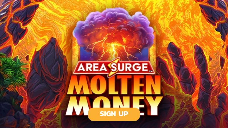 area surge molton money signup