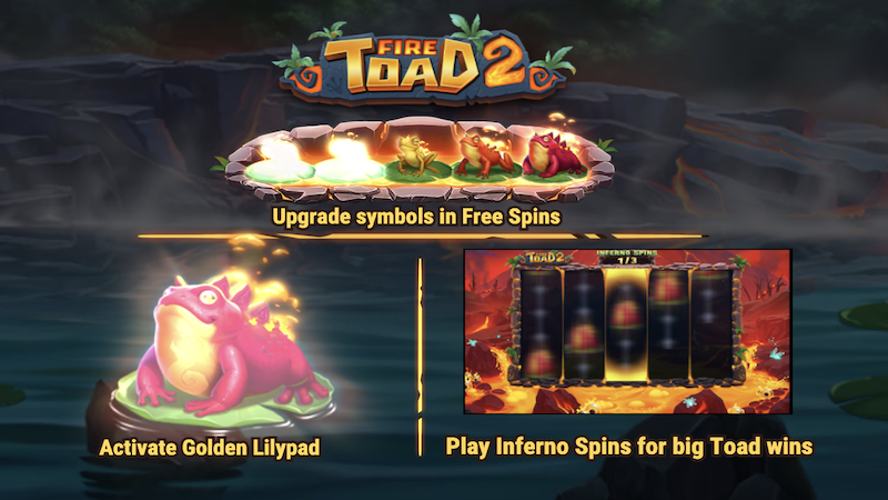 fire toad 2 rules