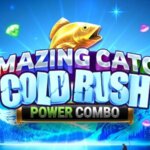 amazing catch cold rush logo