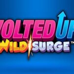 voltedup wildsurge logo