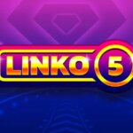 linko 5 logo