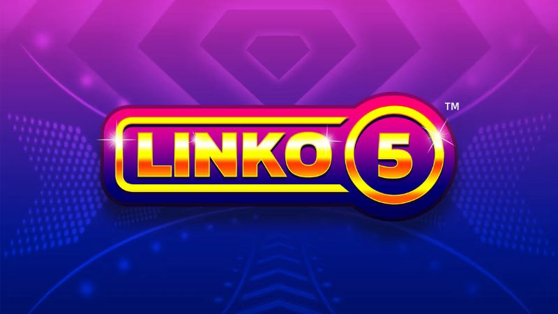 linko 5 logo